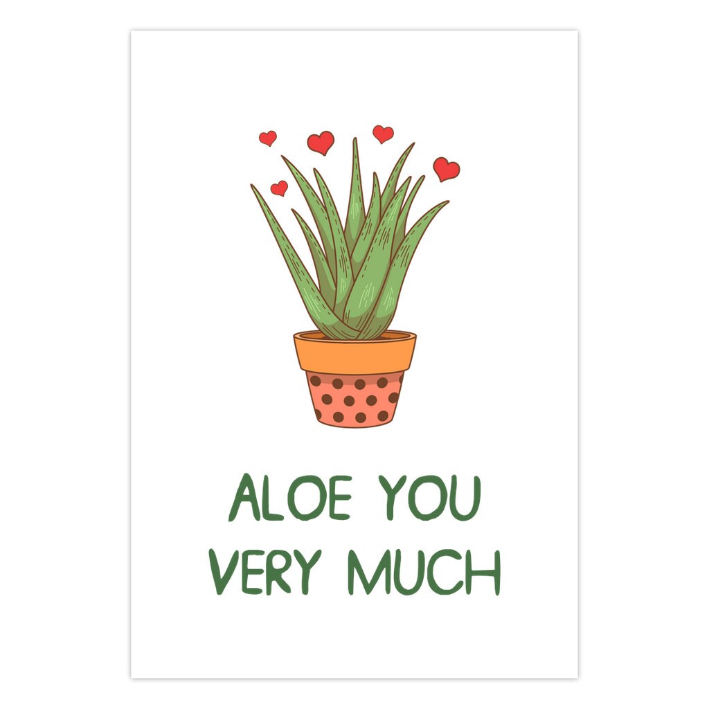 Aloe You Very Much Card, Pun Love Card, Funny Anniversary Card for Him or  Her, Paper Anniversary Gift for Husband or Boyfriend - Etsy