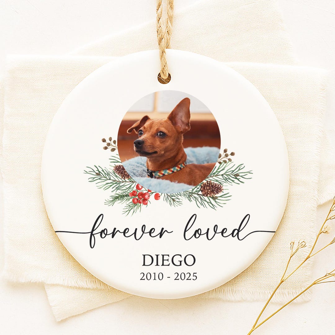Personalized Pet Loss Christmas Ornament, Custom Dog Memorial Ornament ...