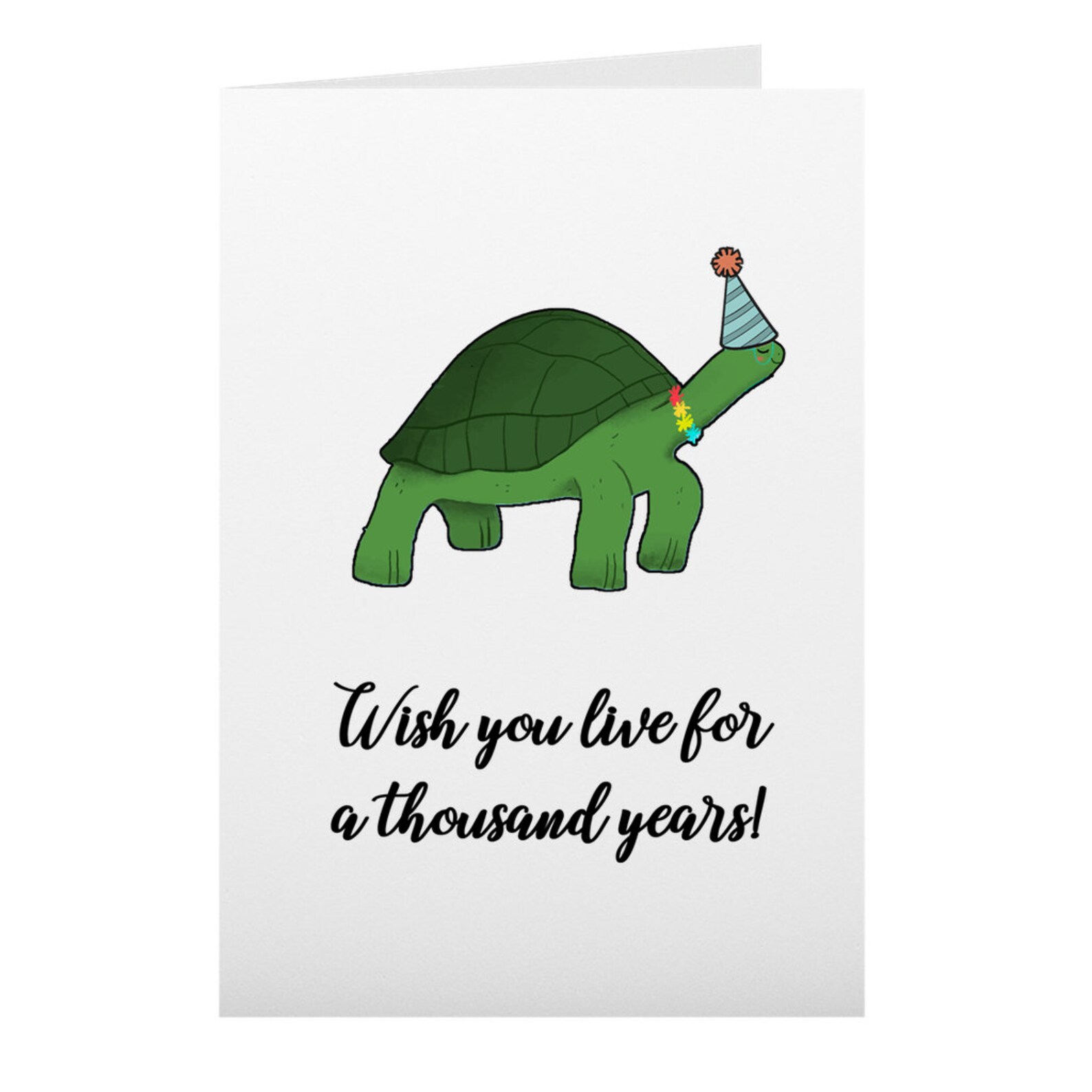 Lustige Schildkröte Geburtstagskarte 60. 70. 80. 90. 100. Etsy