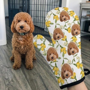 May include: A brown Goldendoodle dog sits next to a white oven mitt. The oven mitt features a pattern of lemons, green leaves, and the dog's face. The dog wears a green collar with a tag.