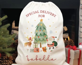 Personalized Santa Sack, Baby's First Christmas Gift Bag, Special Delivery Christmas Eve Box, Custom Christmas Stocking