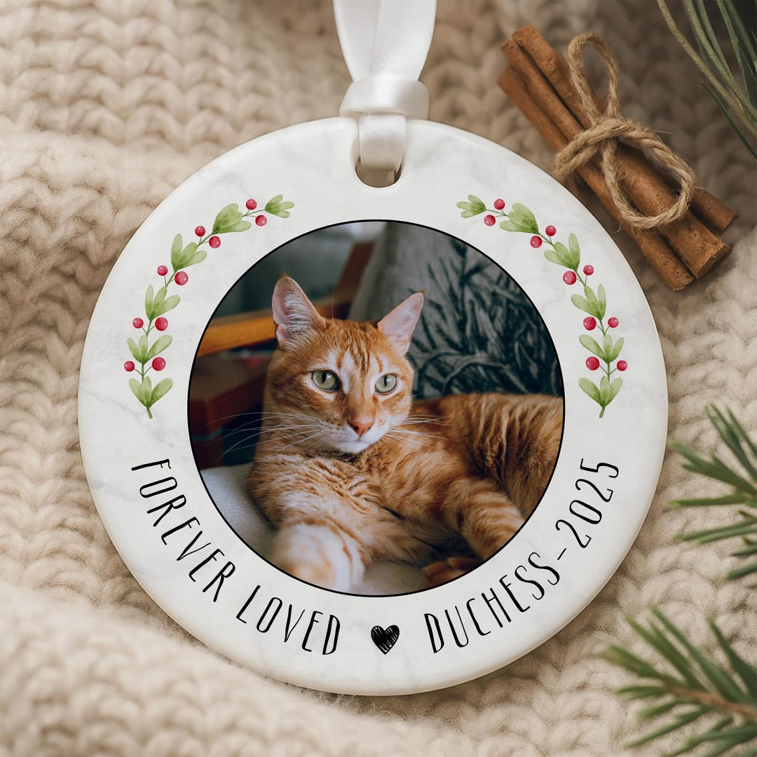 Custom Cat Memorial Christmas Ornament, Personalized Pet Remembrance ...
