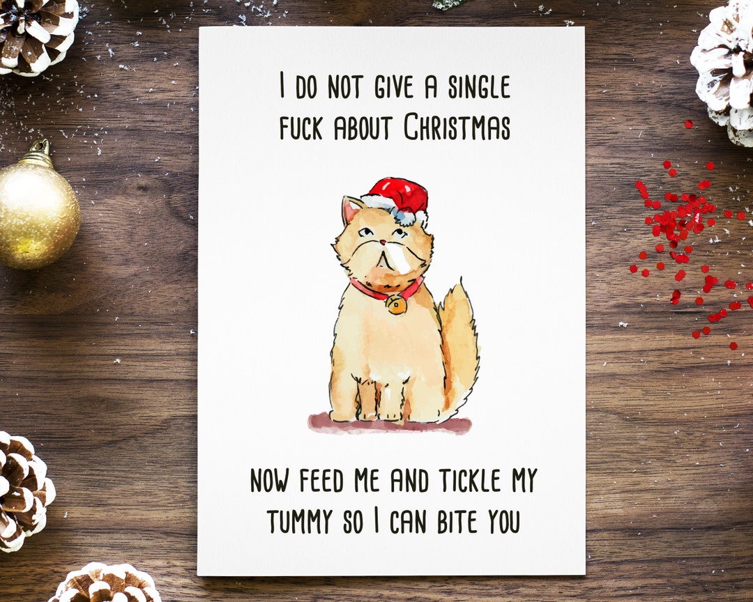 Funny Cat Christmas Card, Rude Christmas Card Packs for Cat Mom Cat Dad ...