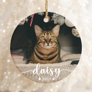 May include: Round Christmas ornament featuring a tabby cat named Daisy. The cat is brown and tan with green eyes. The ornament has the name "daisy" in cursive, the year "2025", a Christmas tree, and a paw print.