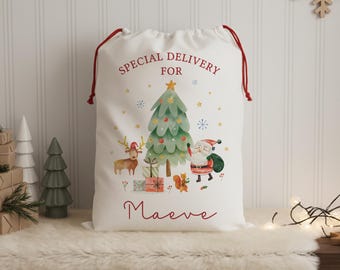 Personalized Santa Sack, Baby's First Christmas Gift Bag, Special Delivery Christmas Eve Box, Custom Christmas Stocking