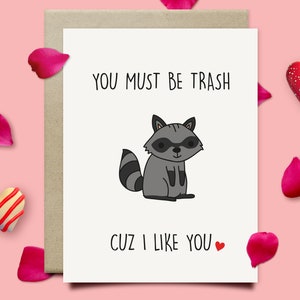 Funny Raccoon Love Card, I Like You Romantic Valentines Day Card For Him Or Her, 1st Anniversary Card For Husband Fiance Or Boyfriend