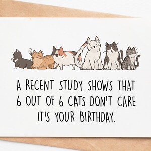 Funny Cat Birthday Card, Cat Lover Birthday Gift, Cat Owner Birthday Card, Rude Birthday Card For Crazy Cat Lady, Cat Mom Cat Dad Card
