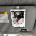 Custom Dog Photo Car Visor Clip, Fathers Day Gift from Dog, Personalized Dog Dad Gift, Dog Lover Gift, Dog Owner Gift