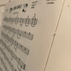 物理的な本 - 中級クローハマーバンジョー 画像 5