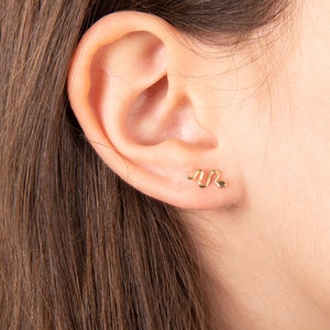 Könnte beinhalten: Goldene Schlangen-Ohrstecker. Die Ohrringe sind klein und zart und perfekt, um jedem Outfit einen Hauch von Verspieltheit zu verleihen.