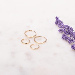 Gold Hoop Earrings, Small Hoop Earrings, Hoop Earrings, Huggie Hoop Earrings