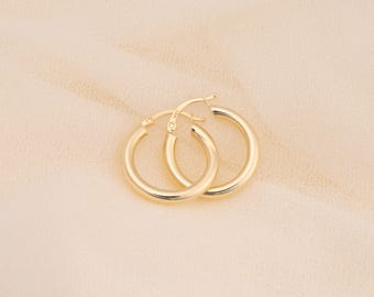 May include: A pair of gold hoop earrings. The hoops are thick and have a smooth, polished finish.