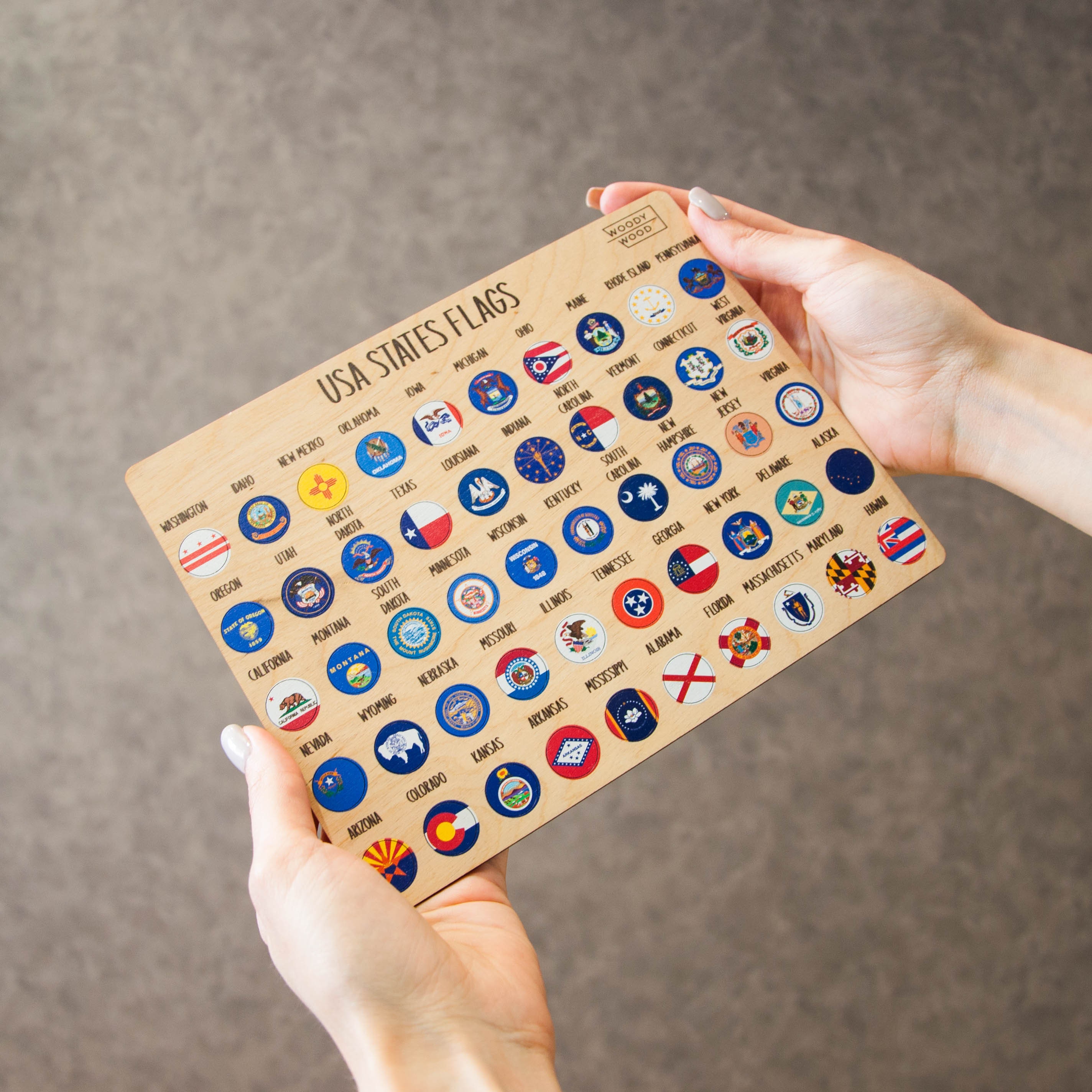 USA States Flags Push Pins