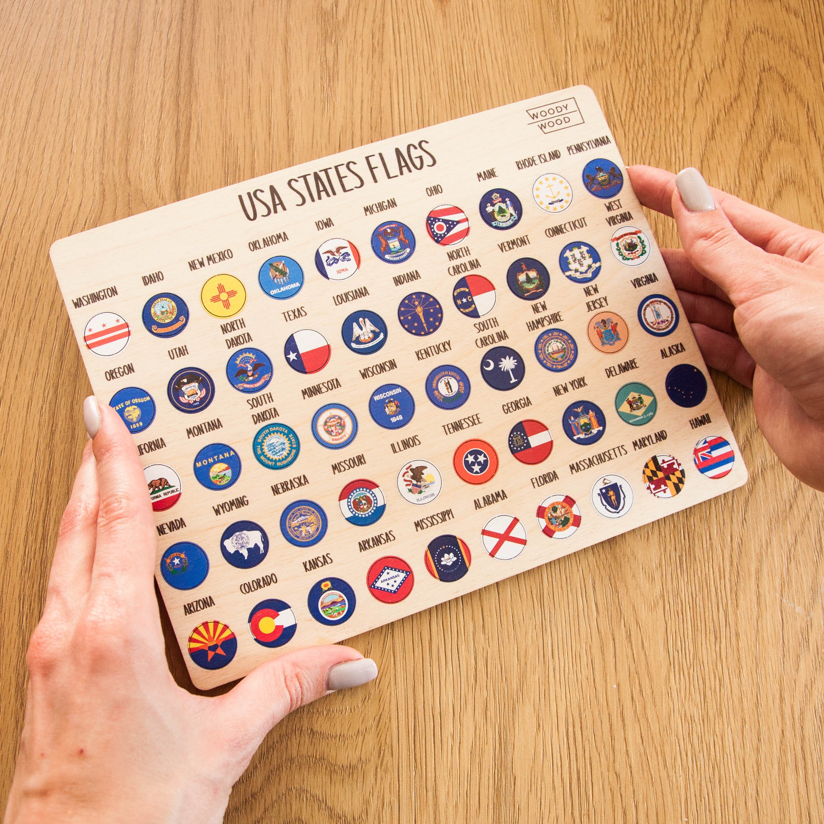 USA States Flags Push Pins