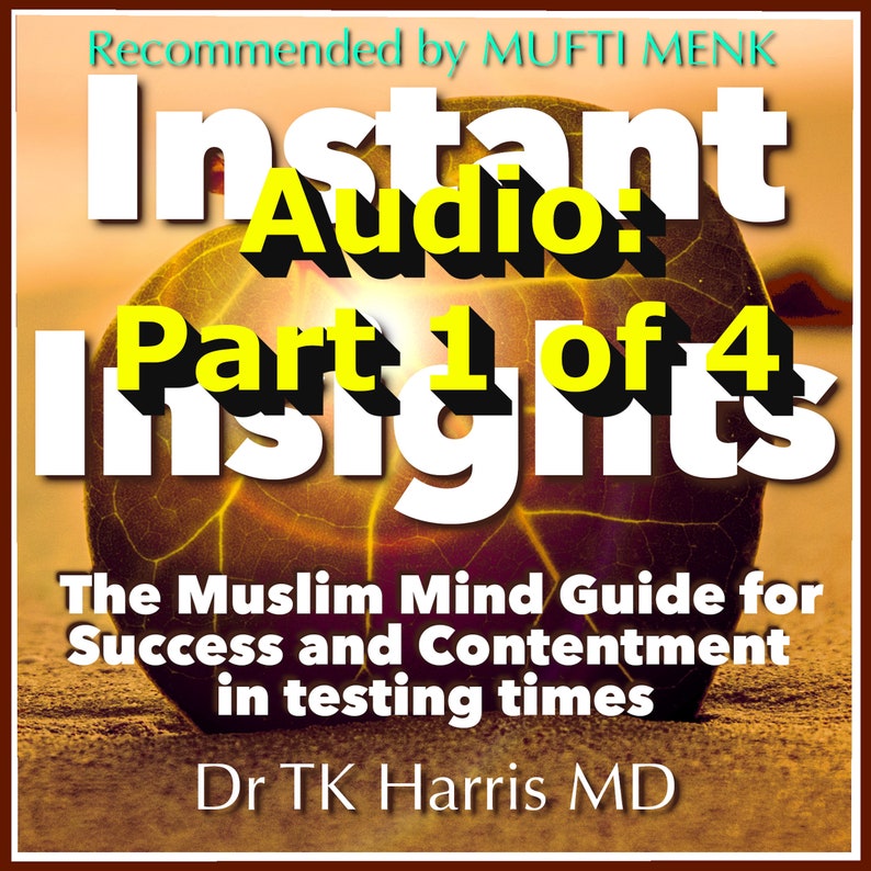 PART 1 OF 4 Instant Insights the Audiobook by TK Harris, as reco PART 1 OF 4 Instant Insights the Audiobook by TK Harris, as reco