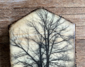 Family Tree wood house encaustic painting landscape inspirational quote handmade nature art farmhouse style gift nature michelle vandyk art