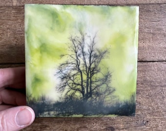 Spring Green tree encaustic painting miniature original art michelle vandyk steadfast bookshelf art mantlepiece art nature scene landscape