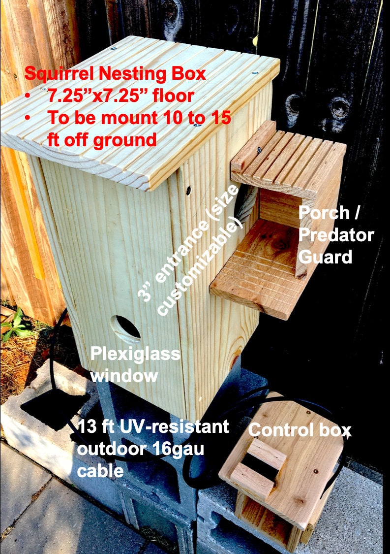Squirrel Nesting Box With Camera Squirrel Nesting House With Etsy