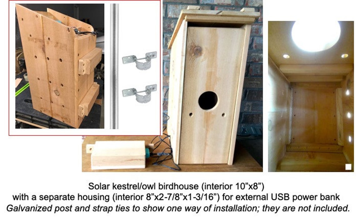 Spycamera birdhouse bird nest box camera wireless WiFi Etsy