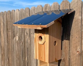 Solar Roof Camera Nesting Box: spy-camera birdhouse, bird nest box camera wireless WiFi, nesting box, solar power