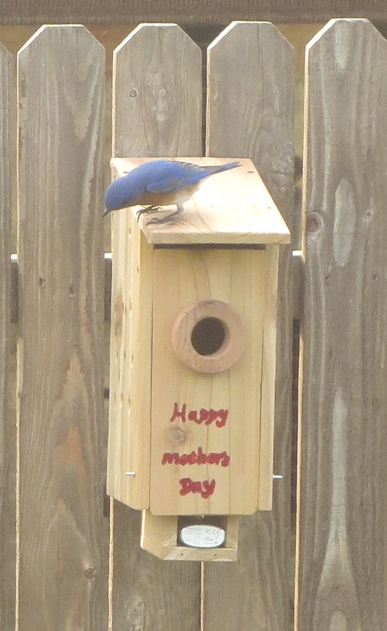 Spy-camera birdhouse bird nest box camera wireless WiFi | Etsy