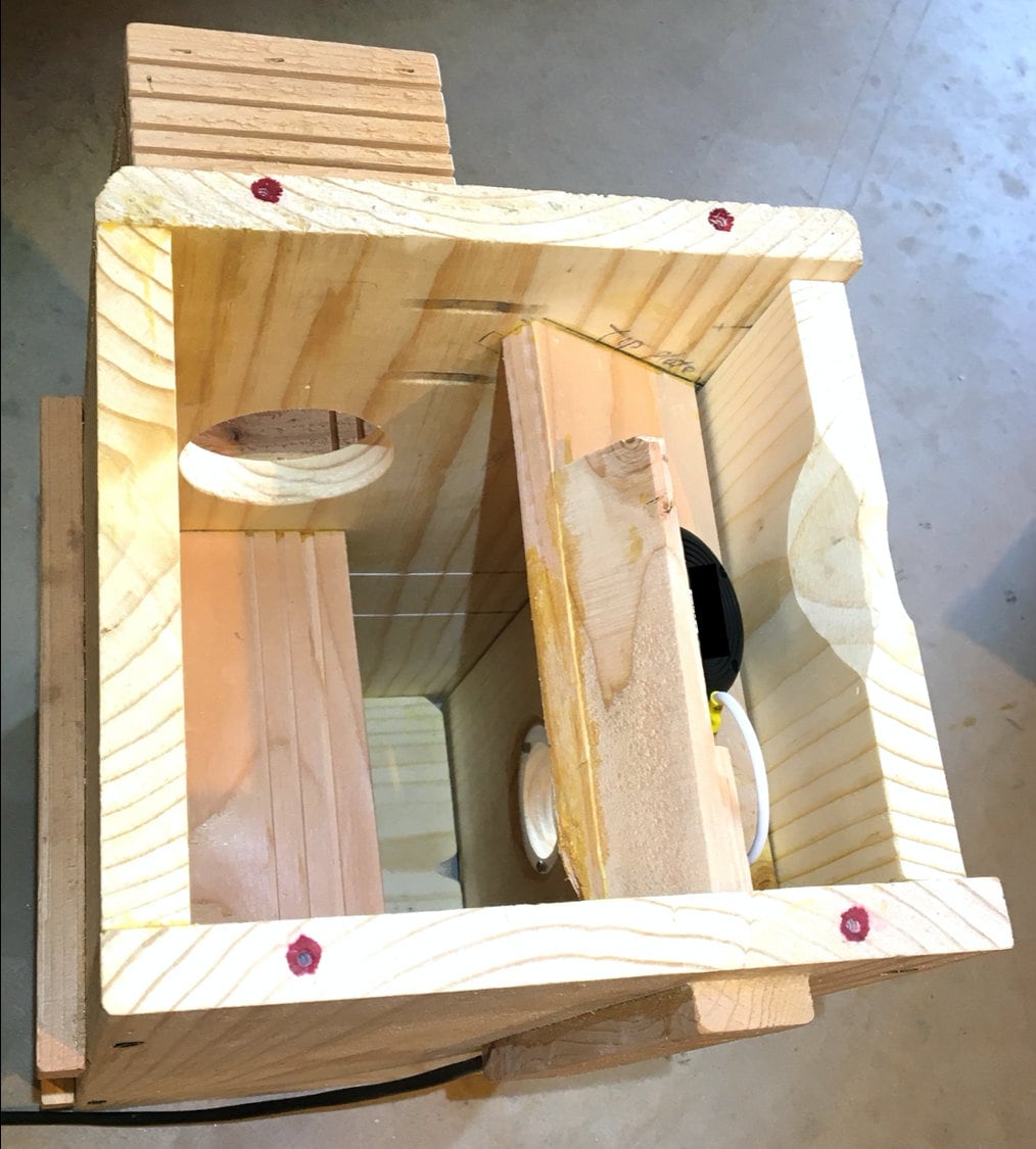 Squirrel Nesting Box With Camera Squirrel Nesting House With Etsy