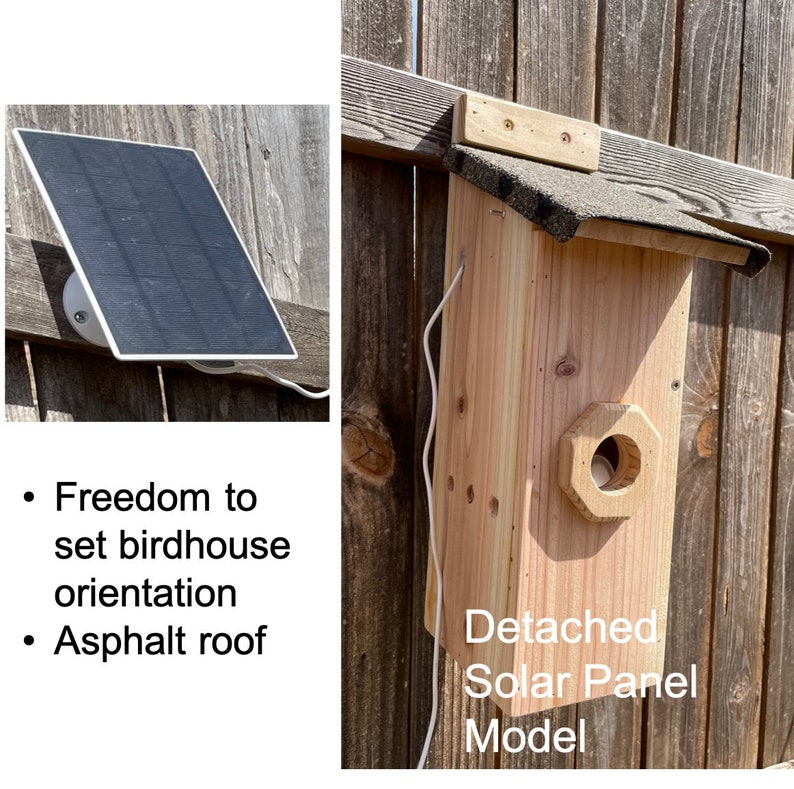 Birdhouse With Solar Powered PIR Camera; Bird Nesting Box Camera ...