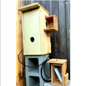 solar powered nest box camera