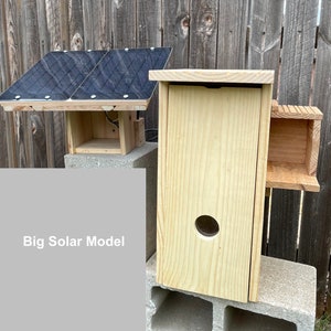 Squirrel Nesting Box With Camera; squirrel nesting house with camera; squirrel nest box cam