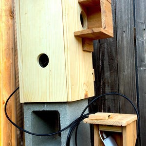 Squirrel Nesting Box With Camera; Squirrel Nesting House With Camera ...