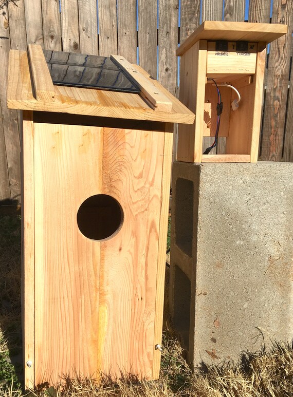 small camera for bird box