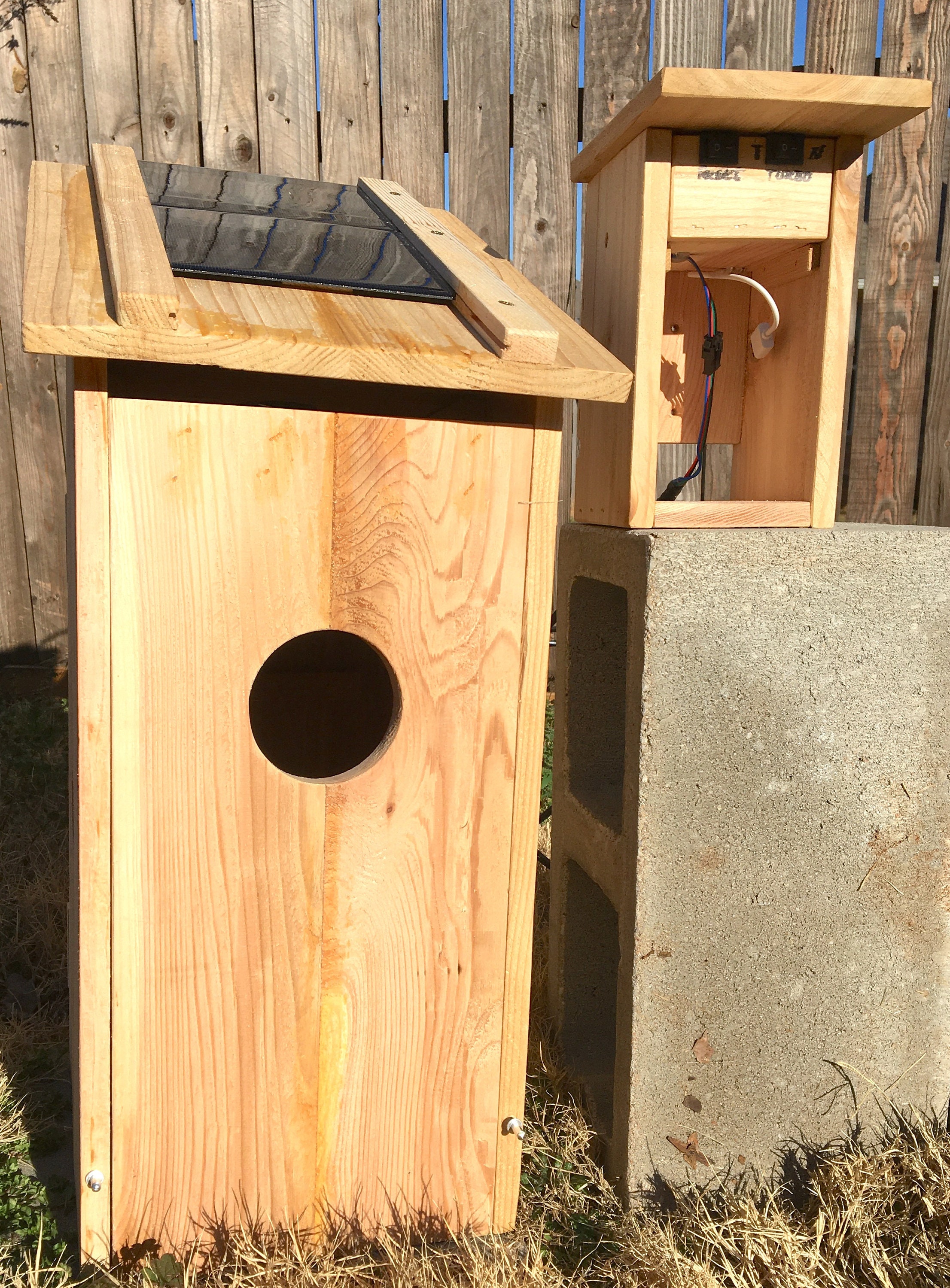 bird nest box with wifi camera