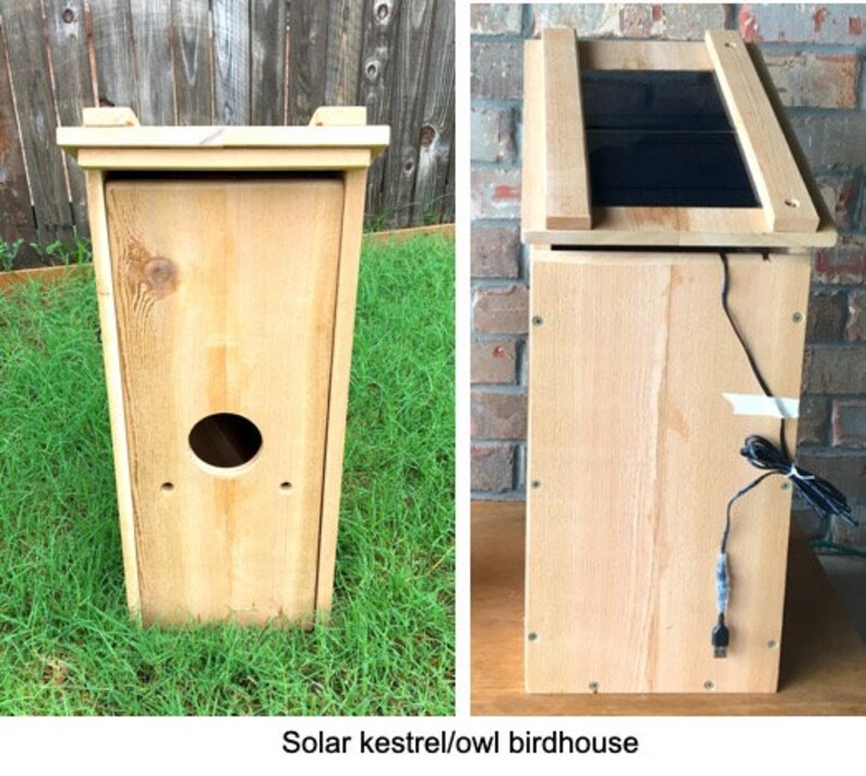 Spycamera birdhouse bird nest box camera wireless WiFi Etsy