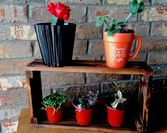 Rustic Desktop Shelf for Succulents, Wandering Jew, Herbs, and Other Plants