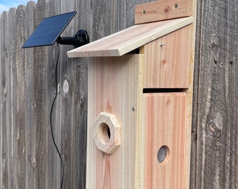 Nesting box with PIR camera for western bluebirds and mountain bluebirds