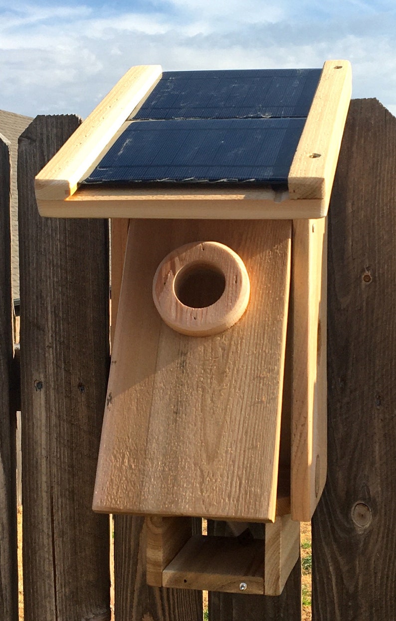 nest bird camera