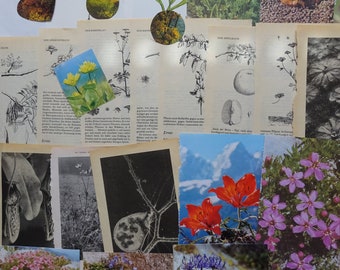 Vintage Book Pages Flowers Plants Scrapbooking Material
