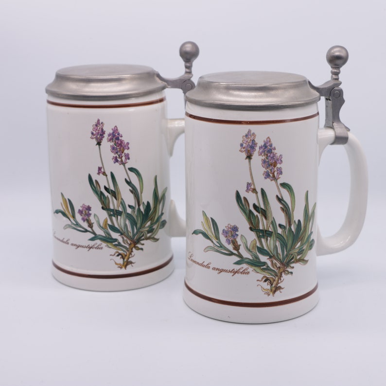 antique floral botanical beer mug Villeroy/&Boch botanica beer glass schooner retro decorative stein retro ceramics made in Luxembourg