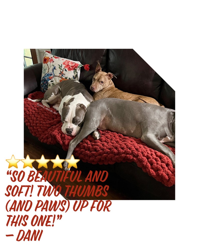 Pu&ograve; includere: Due cani, uno marrone e uno grigio e bianco, sono sdraiati su una coperta di maglia rossa. La coperta &egrave; su un divano in pelle marrone. I cani stanno guardando la telecamera. La didascalia recita "SO BEAUTIFUL AND SOFT! TWO THUMBS (AND PAWS) UP FOR THIS ONE!" - DANI