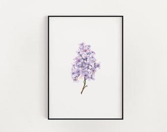 Lilac Print | Lilac Illustration | Lilac Painting | Floral Watercolor | Floral Illustration | Floral Print | Lilac Watercolor | Purple Lilac