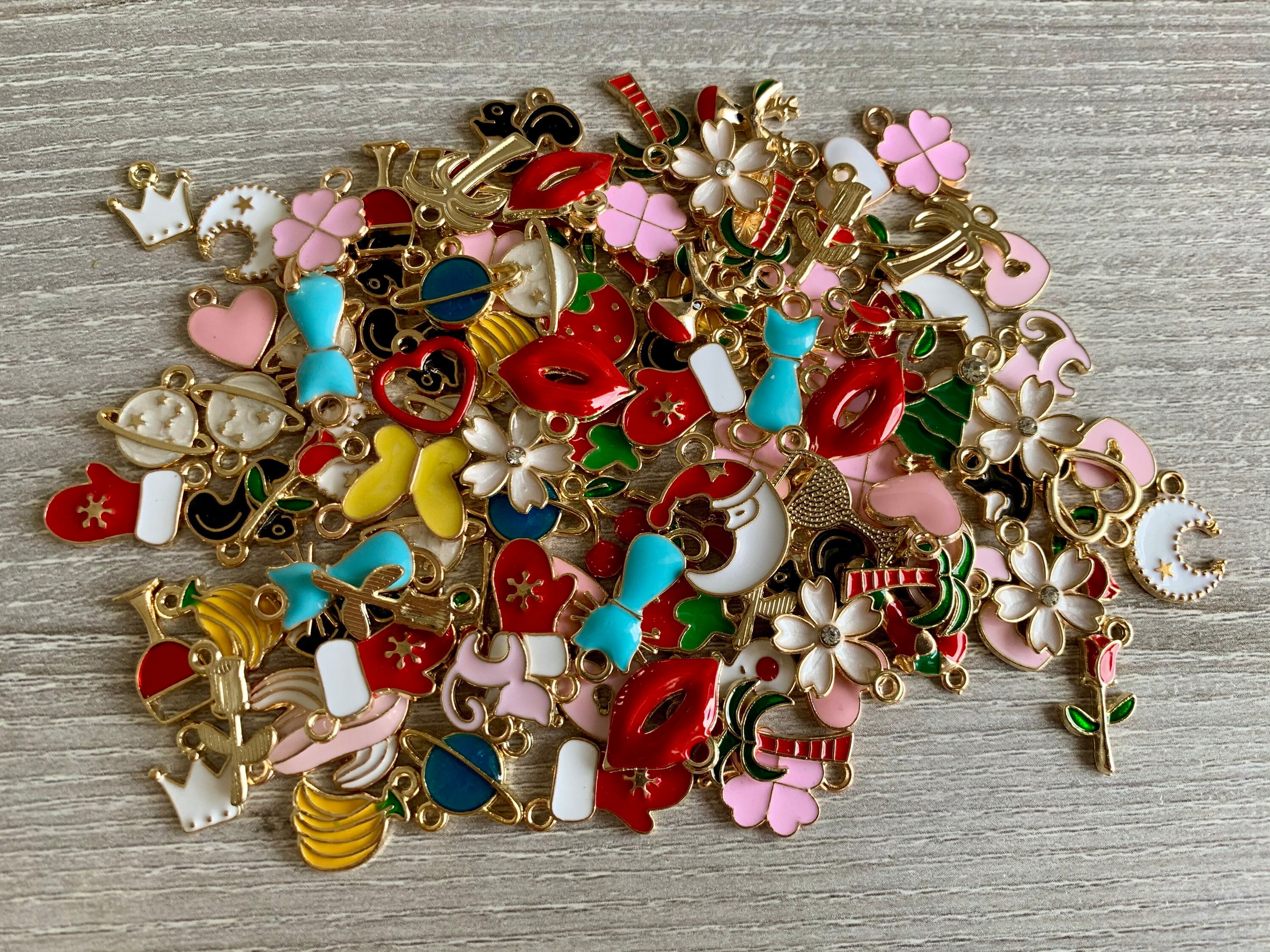 Enamel Charm Bundle/Enamel charms/mixed charms/bulk Etsy