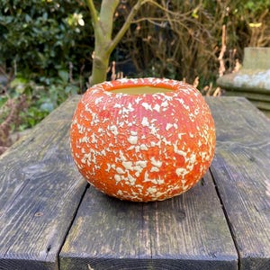May include: A round orange and white ceramic planter with a speckled glaze. The planter is sitting on a wooden surface.