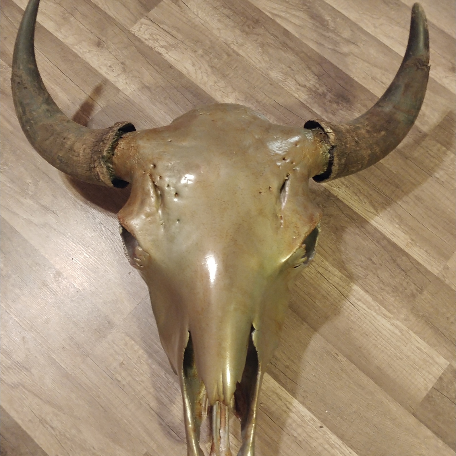 Custom Painted Buffalo Skull. Etsy