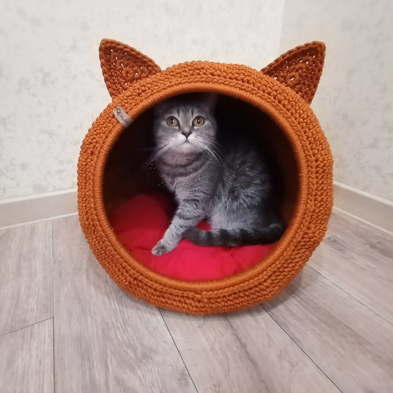 Котодом дзен — ImgHub.ru