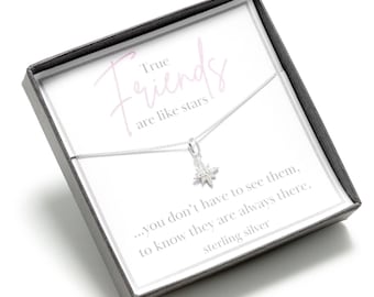 Può includere: Una collana d'argento con un ciondolo a forma di stella e una citazione che recita "True Friends are like stars... you don't have to see them, to know they are always there. Sterling silver."