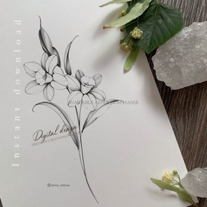 DESEMBER BIRTH FLOWERS | Digital tattoo design | Printable ctencil | Narcissus flower