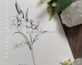 DESEMBER BIRTH FLOWERS | Digital tattoo design | Printable ctencil | Narcissus flower
