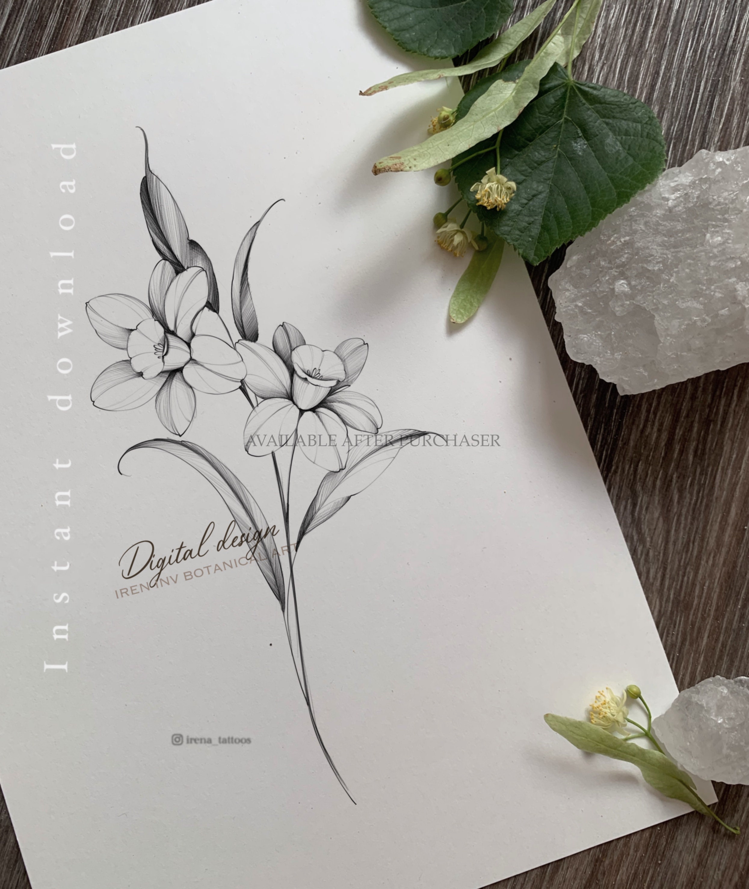 Dutch tattoo artist uses Amsterdam basilica for latest work | Crux, image size:2490x2955