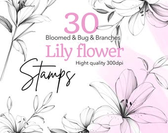 Lily Stamps for Procreate | Fineline Tattoo Design (Digital Download)