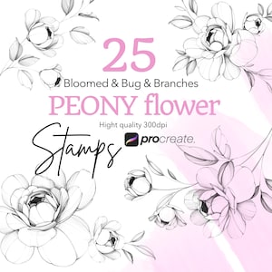 Könnte beinhalten: Grafik mit digitalen Kunst-Pfingstrosen-Blumenstempeln. Das Bild enthält die Zahl 25, die Wörter "Bloomed & Bug & Branches" und "PEONY flower". Der Text "Stamps" ist ebenfalls vorhanden, zusammen mit dem Procreate-Logo und den Worten "Hight quality 300dpi".